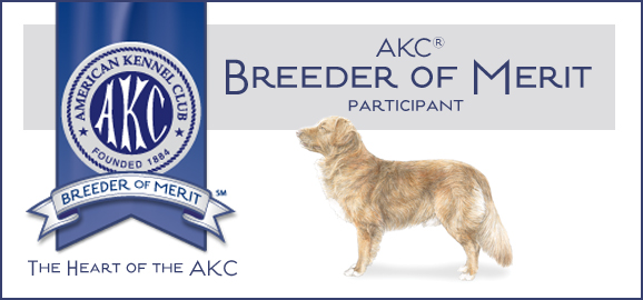 AKC Breeder of Merit participant badge