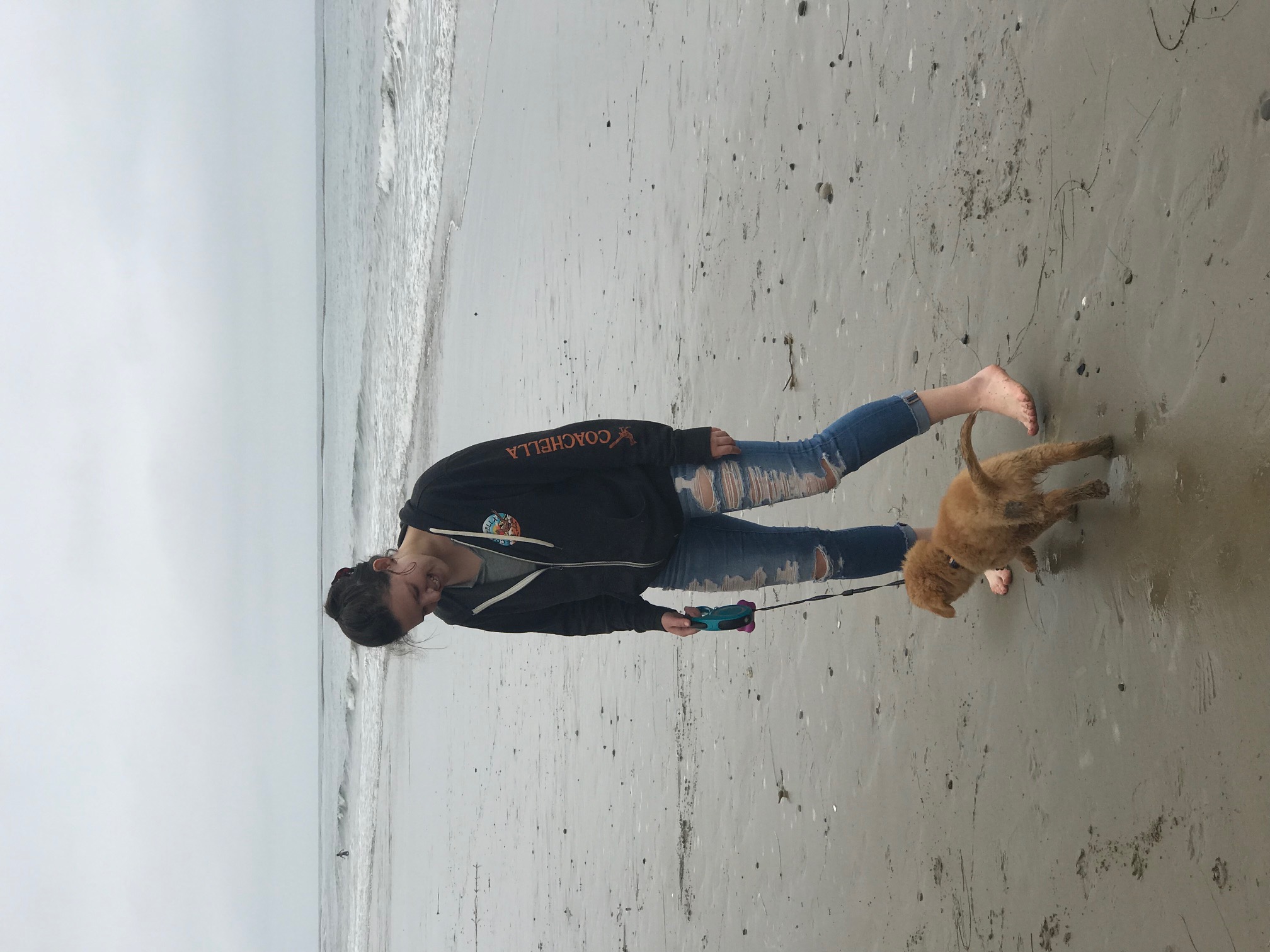 Handler and Toller at an event